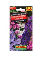 Набор Семена цветов многолетних (218584649) ВБ - фото 809461956