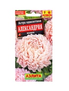 Набор семян цветов Астра  (артикул 10947286)  большой выбор товаров оптом и в розницу по низким ценам с доставкой