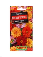 Набор Семена цветов Георгины махровая низкорослая (238760048) ВБ - фото 809462026