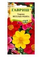 Набор семян Георгина воротничковая «Тип Топ», 0.5 г - Фото 1