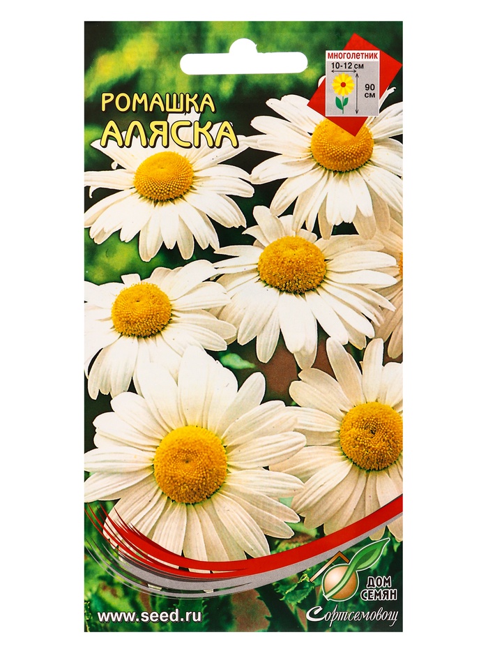 Набор семян Ромашка многолетняя крупноцветковая «Аляска», 70 семян - Фото 1