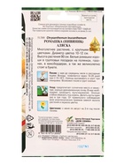 Набор семян Ромашка многолетняя крупноцветковая «Аляска», 70 семян - фото 69174386