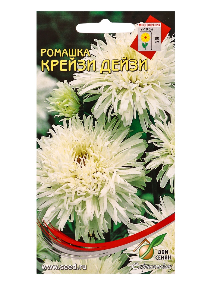 Набор семян Ромашка многолетняя «Крейзи Дейзи», 30 семян - Фото 1
