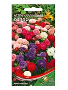 Набор семян Астра карлик «Рондо», смесь, 100 семян - фото 69174401