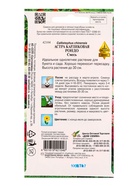 Набор семян Астра карлик «Рондо», смесь, 100 семян  (артикул 10947329)  большой выбор товаров оптом и в розницу по низким ценам с доставкой