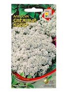 Набор семян Алиссум «Снежный ковер», 180 семян - фото 69174403