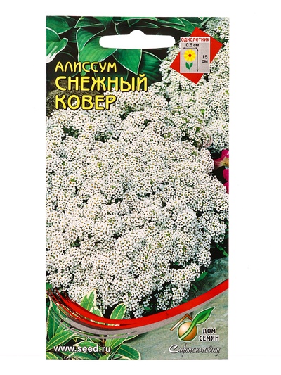 Семена цветов Алиссум «Снежный ковер», 180 семян, «Мой выбор»