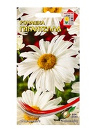 Семена цветов Ромашка «Гигантелла», 70 семян, «Мой выбор» - Фото 1