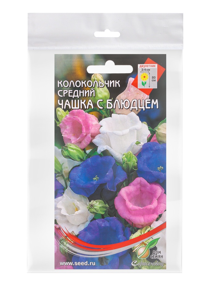 Набор семян Колокольчик многолетний «Чашка с Блюдцем», 180 семян - Фото 1