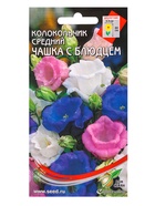 Набор семян Колокольчик многолетний «Чашка с Блюдцем», 180 семян - Фото 2