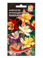 Набор семян Аквилегия многолетняя крупноцветковая Маккана, 50 семян - Фото 1