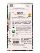 Набор семян Аквилегия многолетняя крупноцветковая Маккана, 50 семян - Фото 2