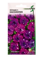 Набор Петуния F1 Кассиопея, 15 семян (362342497) ОЗ - фото 809462046