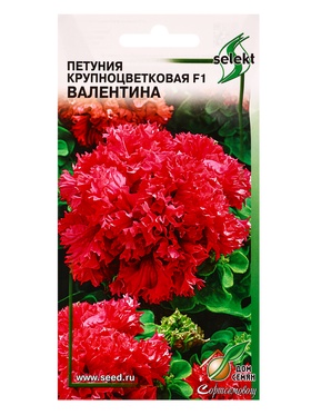 Набор семян Петуния крупноцветковая махровая F1 «Валентина», 10 семян