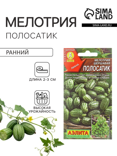 Семена Мелотрия шершавая «Полосатик»