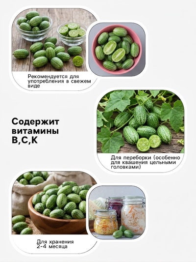 Семена Мелотрия шершавая «Полосатик», «Мой выбор»