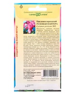 Семена цветов Цикламен персидский, «Розовая пантера», розовый, 3 шт., «Гавриш» - Фото 4