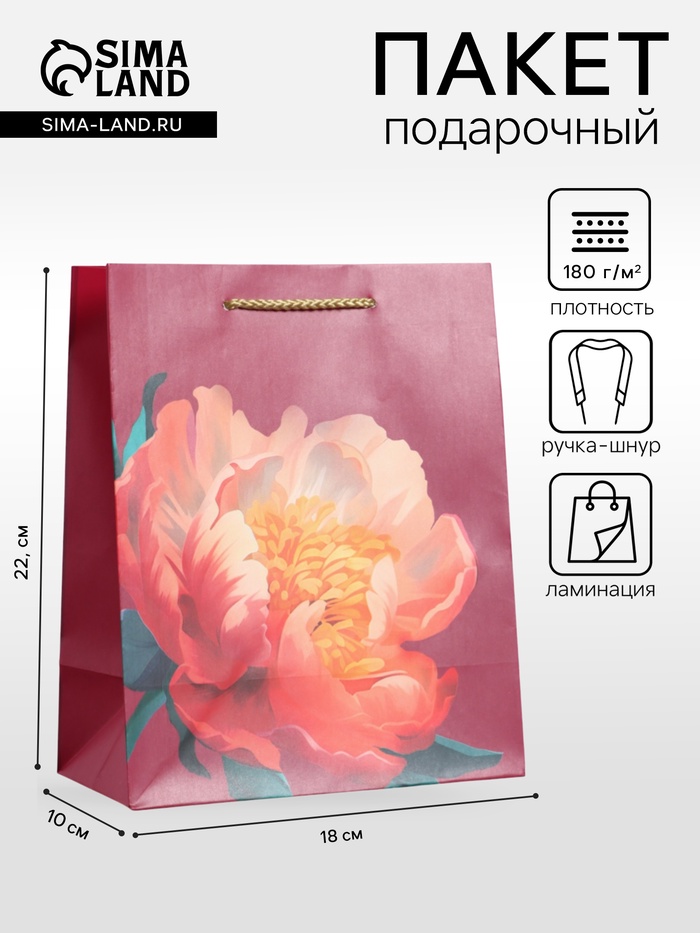 Пакет подарочный ламинированный «Пион», бордовый, 18×22.3×10 см - Фото 1