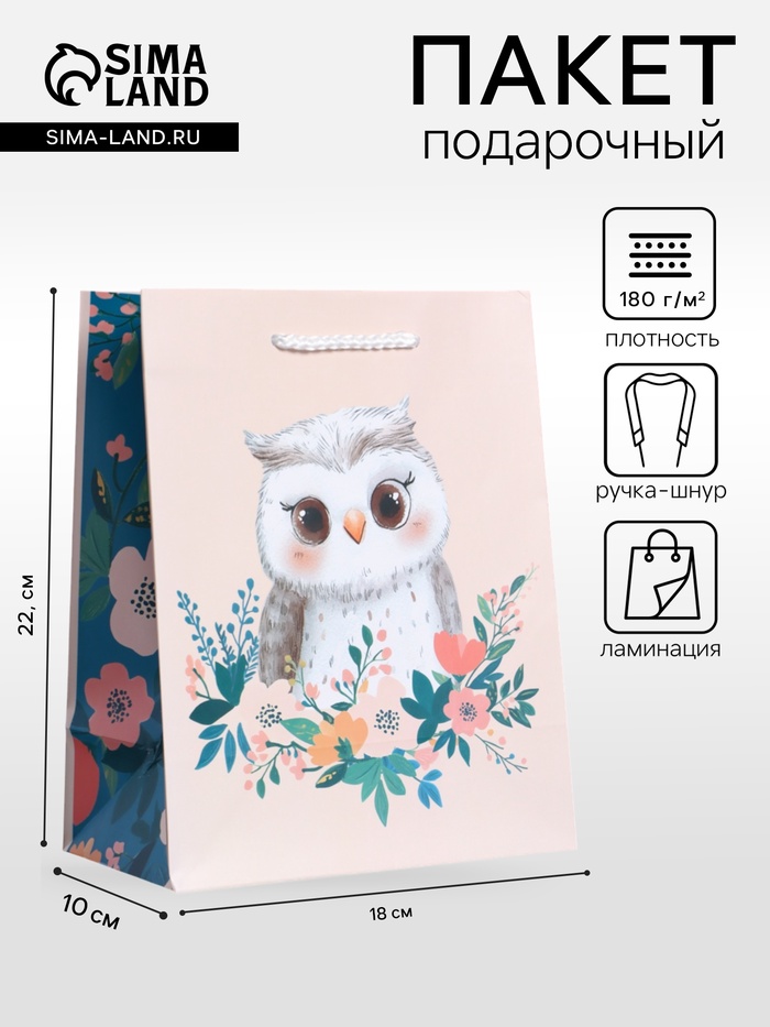 Пакет подарочный ламинированный «Мудрая совушка», бежевый - бирюзовый, 18×22.3×10 см - Фото 1