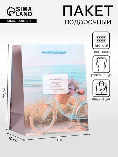 Пакет подарочный ламинированный «Путь к мечте», 18×22.3×10 см