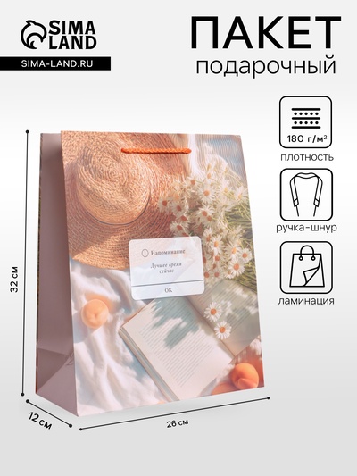 Пакет подарочный ламинированный «Лучшее время сейчас», 26×12×32 см
