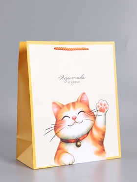 Пакет подарочный ламинированный «Позитива и удачи», 26×12×32 см