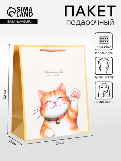 Пакет подарочный ламинированный «Позитива и удачи», 26×12×32 см
