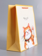 Пакет подарочный ламинированный «Позитива и удачи», 26×12×32 см - фото 68977554