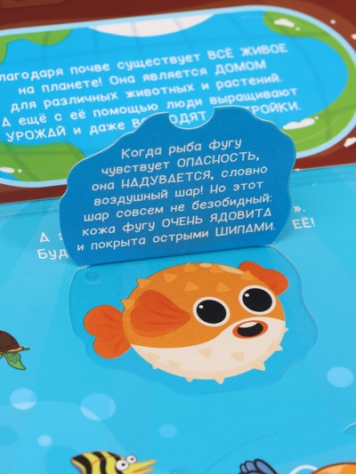 Книжка с окошками «От космоса до морских глубин. Синий трактор», 43 окошка