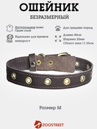 Ошейник безразмерный, 40×2 см, с подпряжником, кожа, коричневый  (артикул 10980445)  большой выбор товаров оптом и в розницу по низким ценам с доставкой