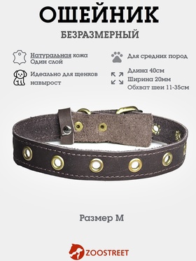 Ошейник безразмерный, 40×2 см, с подпряжником, кожа, коричневый  (артикул 10980445)  большой выбор товаров оптом и в розницу по низким ценам с доставкой
