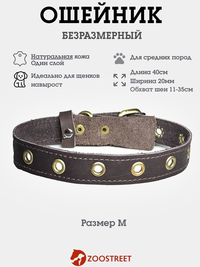 Ошейник безразмерный, 40×2 см, с подпряжником, кожа, коричневый