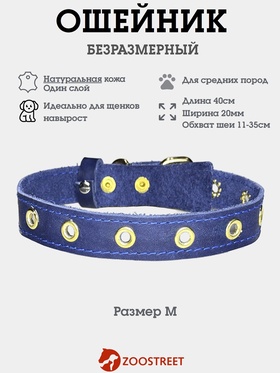 Ошейник безразмерный, 40×2 см, с подпряжником, кожа, синий  (артикул 10980446)  большой выбор товаров оптом и в розницу по низким ценам с доставкой