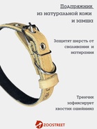 Ошейник, 45×2 см, с подкладом, тиснение, кожа, бежевый  (артикул 10980447)  большой выбор товаров оптом и в розницу по низким ценам с доставкой