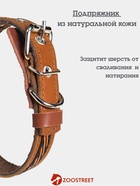 Ошейник, 45×2 см, с подкладом и декоративной лентой, кожа, коричневый  (артикул 10980448)  большой выбор товаров оптом и в розницу по низким ценам с доставкой