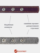 Ошейник, 50×2.5 см, подклад из ватина, кожа, фиолетовый  (артикул 10980453)  большой выбор товаров оптом и в розницу по низким ценам с доставкой