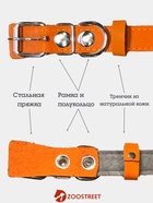 Ошейник, 50×2.5 см, подклад из ватина, кожа, оранжевый  (артикул 10980454)  большой выбор товаров оптом и в розницу по низким ценам с доставкой