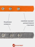 Ошейник, 50×2.5 см, подклад из ватина, кожа, оранжевый  (артикул 10980454)  большой выбор товаров оптом и в розницу по низким ценам с доставкой