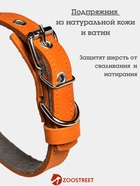 Ошейник, 50×2.5 см, подклад из ватина, кожа, оранжевый  (артикул 10980454)  большой выбор товаров оптом и в розницу по низким ценам с доставкой