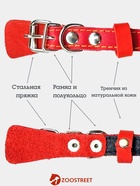 Ошейник, 35×1.5 см, подклад из ватина, кожа, красный - Фото 2