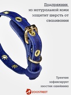 Ошейник, безразмерный, 35×1.5 см, с подпряжником, кожа, синий  (артикул 10980462)  большой выбор товаров оптом и в розницу по низким ценам с доставкой