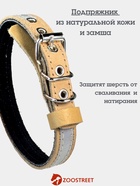 Ошейник, 35×1.5 см, с подкладом и светоотражающей лентой, кожа, бежевый  (артикул 10980463)  большой выбор товаров оптом и в розницу по низким ценам с доставкой