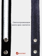 Ошейник, 35×1.5 см, с подкладом и светоотражающей лентой, кожа, чёрный  (артикул 10980464)  большой выбор товаров оптом и в розницу по низким ценам с доставкой