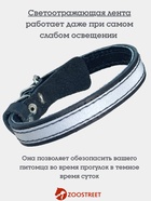 Ошейник, 35×1.5 см, с подкладом и светоотражающей лентой, кожа, чёрный  (артикул 10980464)  большой выбор товаров оптом и в розницу по низким ценам с доставкой