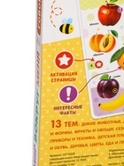 УЦЕНКА Говорящая книга «Мир вокруг меня» 10987041