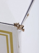 УЦЕНКА Кружка с подогревом LSK-1501, от USB, 16 Вт, белая - Фото 7