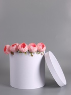 Шляпная подарочная коробка, белая, 30×30 см - фото 68977949