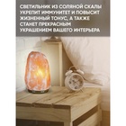 УЦЕНКА Солевая лампа Ergopower ER 502, 220 В, 15 Вт, 3-5 кг 10987281