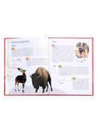 Детская энциклопедия «Красная книга», 48 стр. 7+ - фото 68978364