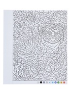 Раскраска по номерам «Коты и кошки», цветовой код, 32 стр. - фото 68978397